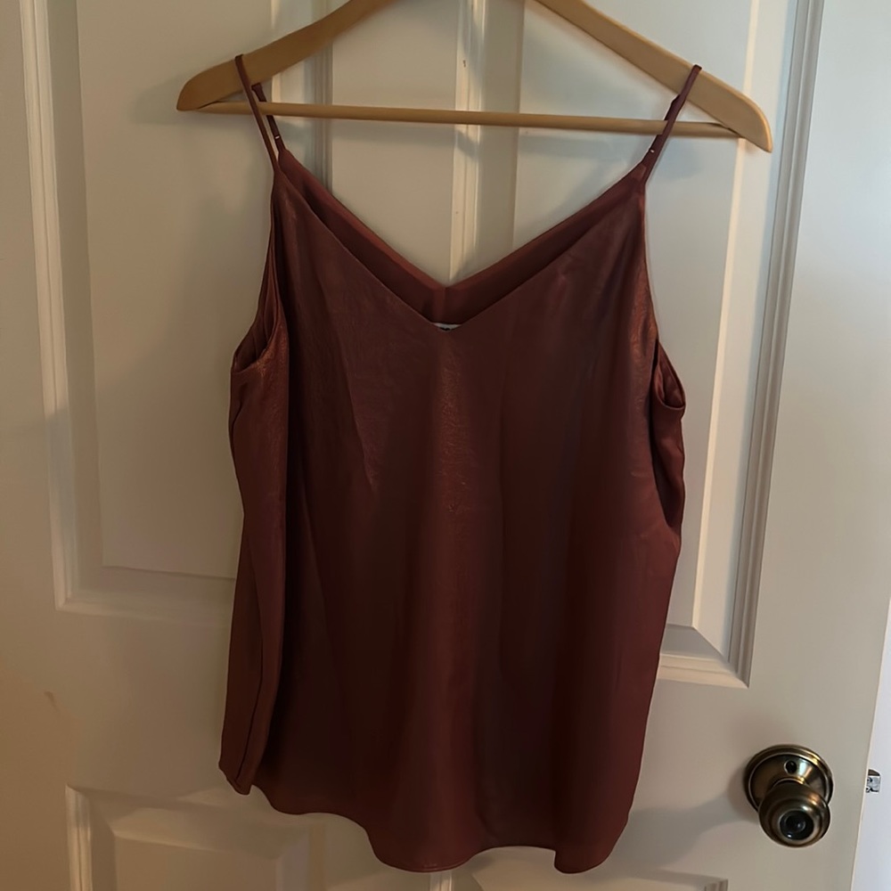 Express medium mauve blouse